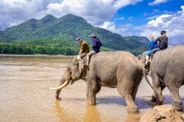 Koupání se slony v záchranné stanici Manifa Elephant Camp nedaleko Luang Prabang