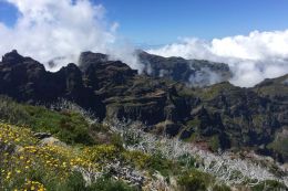 Madeira
