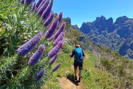 Levada z Pico Ariero na Pico Ruivo