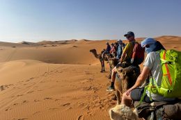 Na velbloudech v písečných dunách Erg Chebi