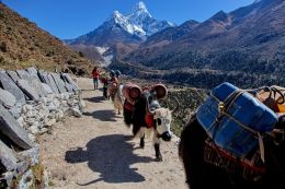 Zásobování horských chat