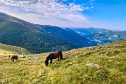 Nockberge trail