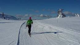 Norsko - Sjusjoen na běžkách