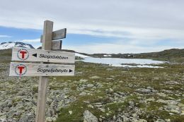 Norsko - přechod NP Jotunheimen po chatách
