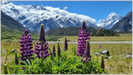 Výhled na nejvyšší horu ostrovů Mount Cook