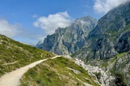 Picos de Europa