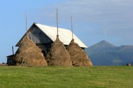 Podkarpatská Rus - v pozadí Hoverla