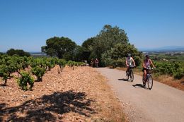 Provensálsko na kole - cyklistika mezi vinicemi
