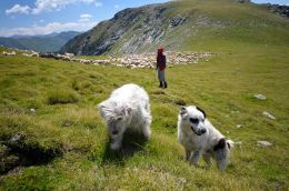 Hory jižního Rumunska