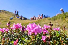 Nejvyšší vrcholy Rumunska