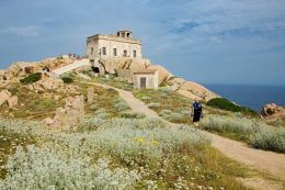 Sardinie na kole