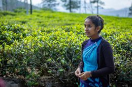 Průvodkyně na čajovníkové plantáži Bluefield
