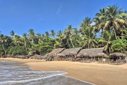 Pláže s palmami na jihu Srí Lanky