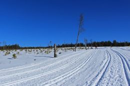 Švédsko na běžkách