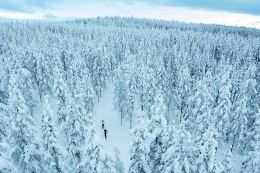 Švédsko na běžkách