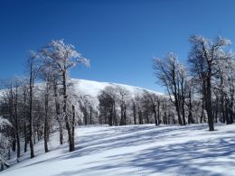 Zima na Podkarpatské Rusi