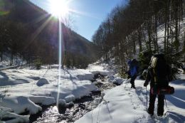 Zimní přechod poloniny Boržava