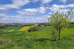 Via Francigena