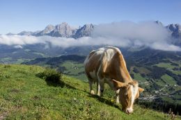 Turistika v okolí Zell am See