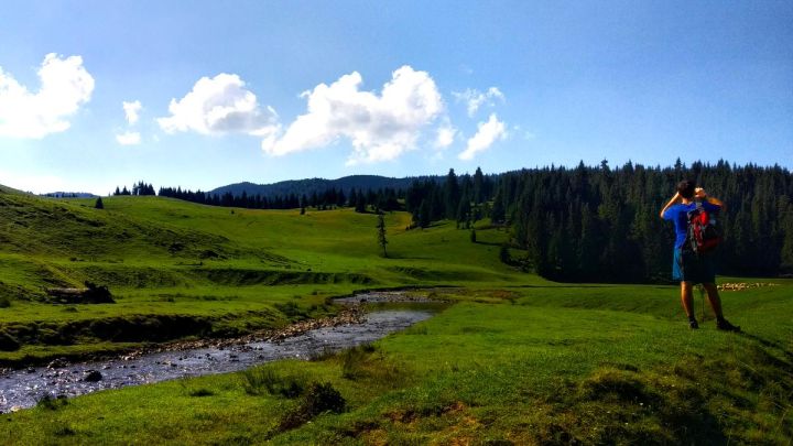 Rumunské pastviny