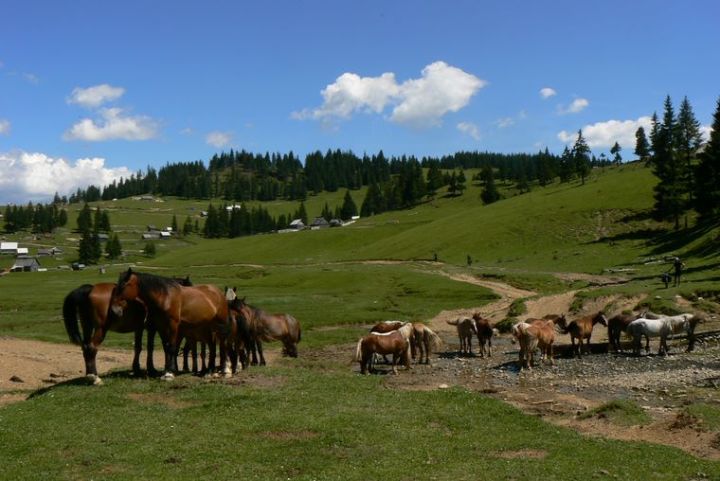 Apuseni - cestou kolem dřevorubeckých vesniček