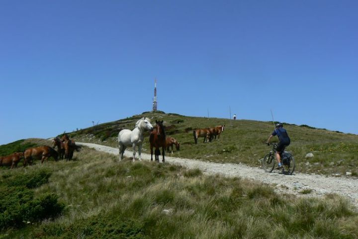 Bihor - Cucurbata Mare 1849 m
