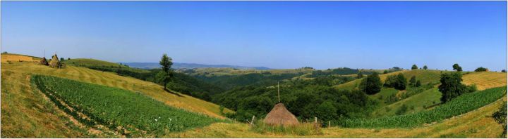 Banát: cestou z Rovenska do Gerniku