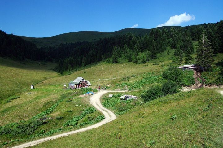 Bjelasica - cesta k Biogradskému jezeru