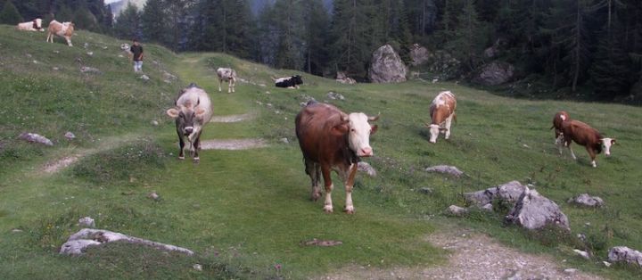 Dolomity