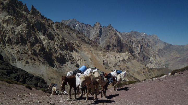 Ladakhu nalehko s podporou koní
