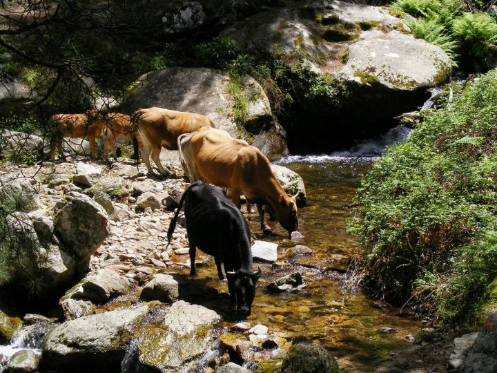 Údolí Tavignano