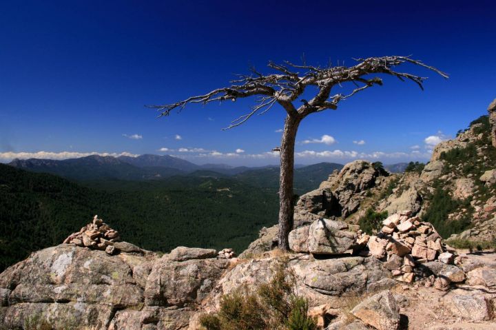 Col de Bavella