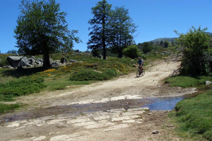 Plateau Coscione