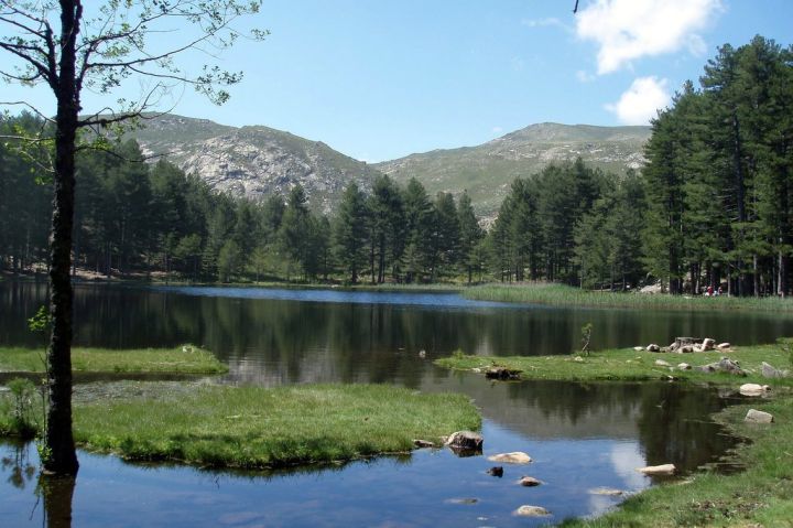 Korsika - Lac de Creno