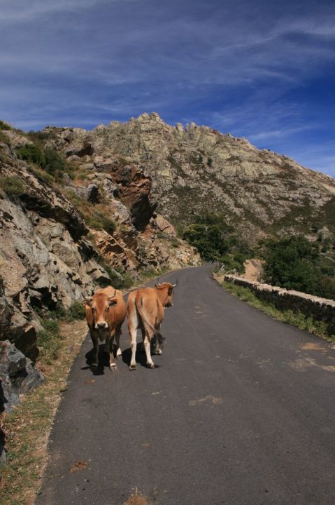 Korsika - cyklozájezd