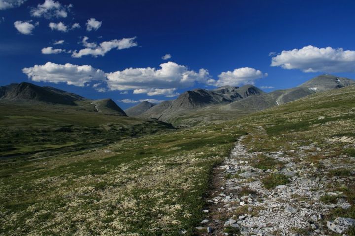 NP Rondane