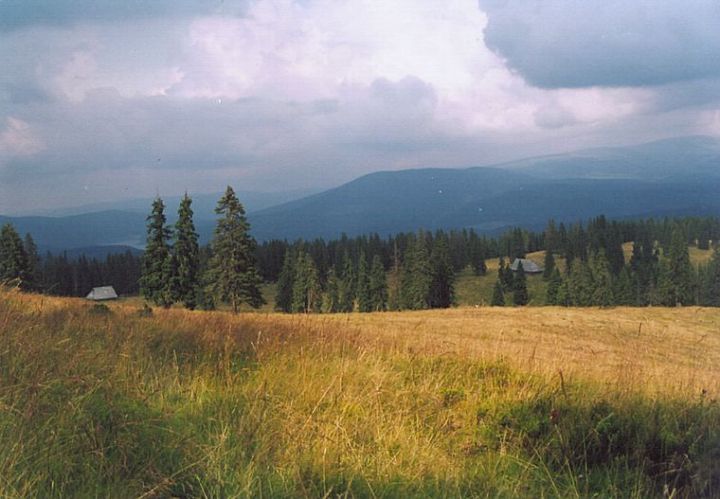 Šureanu