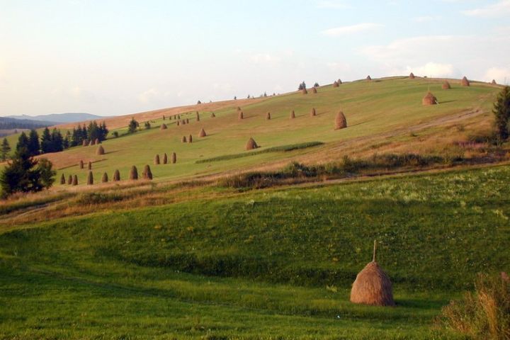 Nad Podobovcem - Boržava