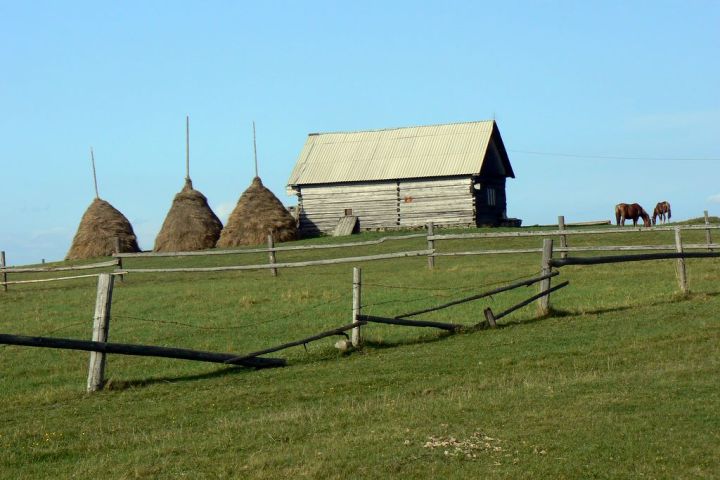 Černohorská polonina