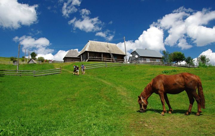 Poloniny