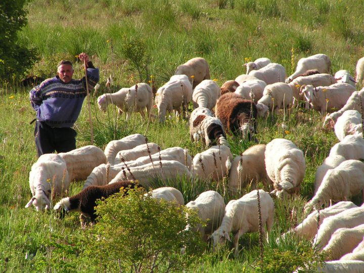 V horách Makedonie