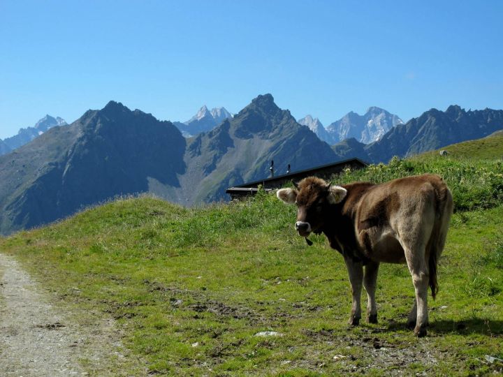 Turistika ve švýcarských Alpách