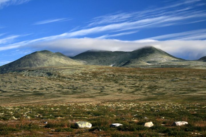 Norsko: NP Rondane