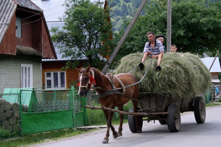 Vesnický folklór